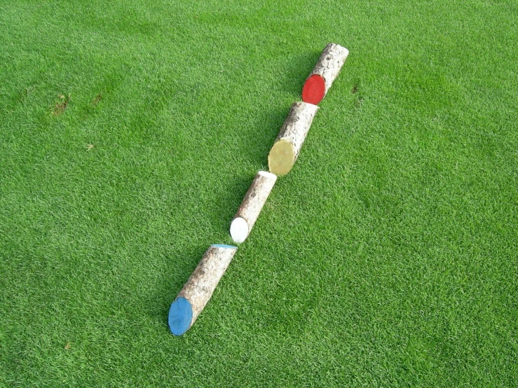 a baseball bat resting on some green grass