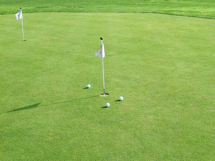 three golf clubs are near a golf ball in the green