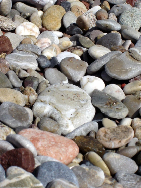 this is a close up of rocks and pebbles