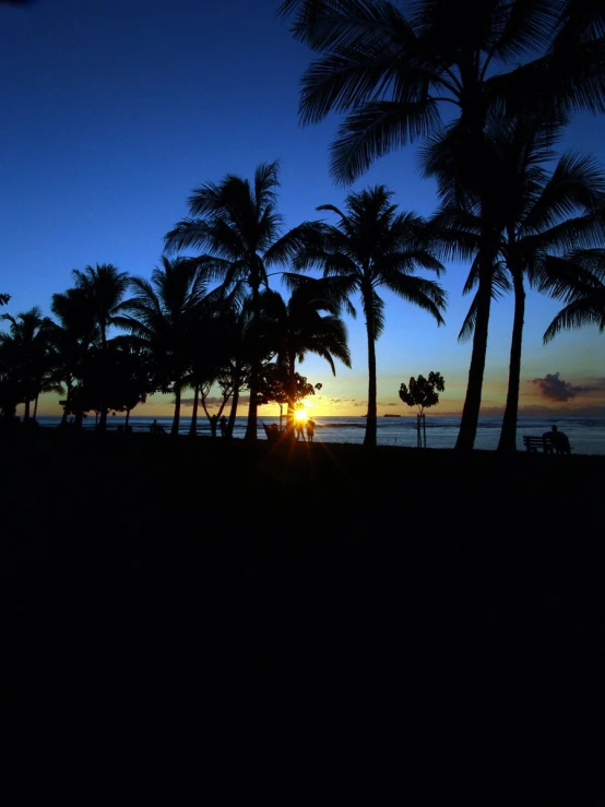 some palm trees and people on a beach at sunset