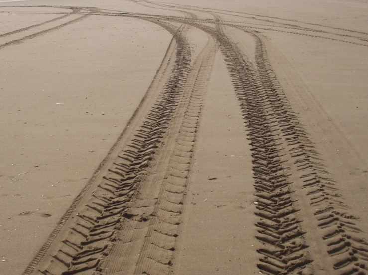 a pair of large tire tracks are on the beach