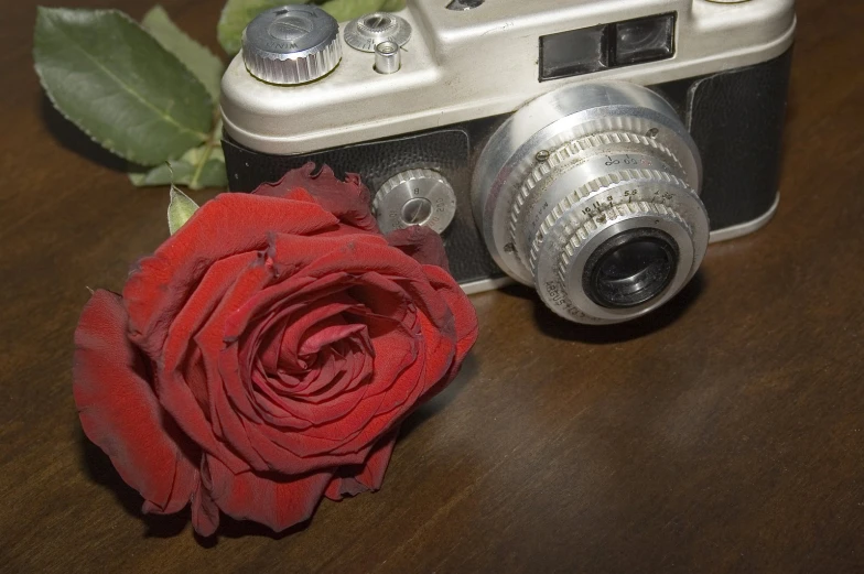 a camera with a single rose in front