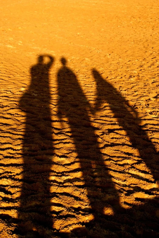 two people holding hands as if shadows in the sand