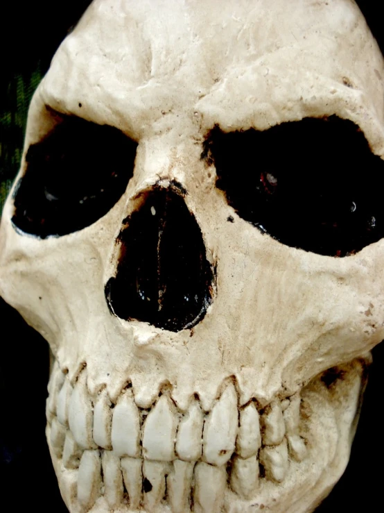 a skull with black eyes and a mustache