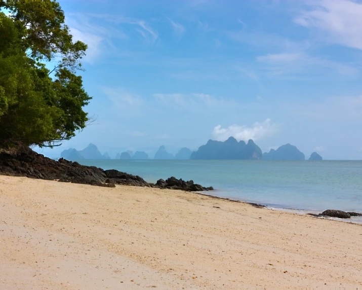 there is a large body of water near the shore