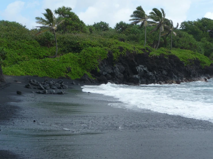 a sandy beach with palm trees and black sand