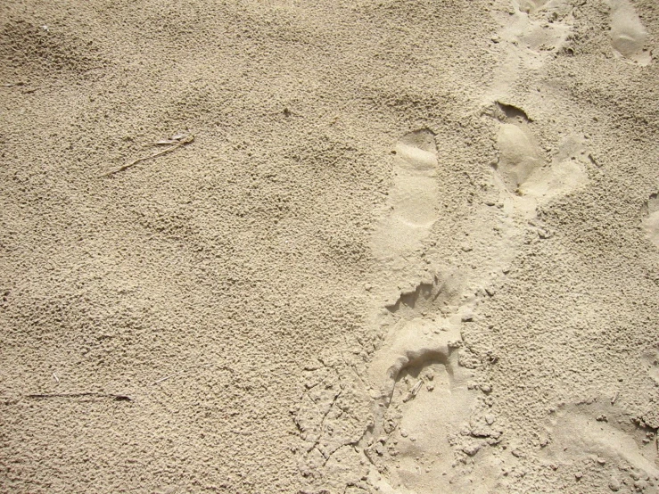 there is a very large footprints on the sand