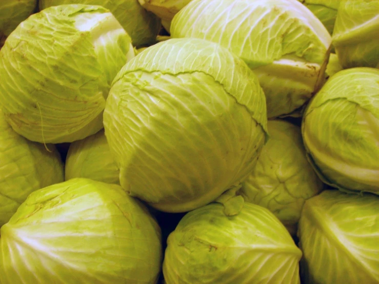 close up picture of whole cabbages in a pile