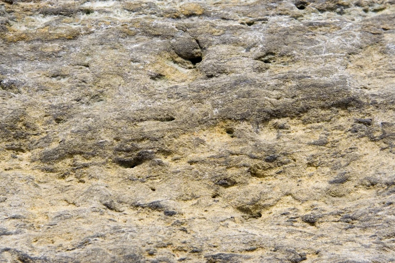 closeup of an area with some dirt and gravel