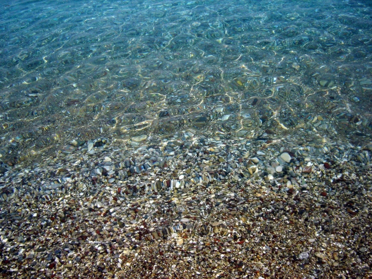 a shallow sandy beach with pebbles and seashells