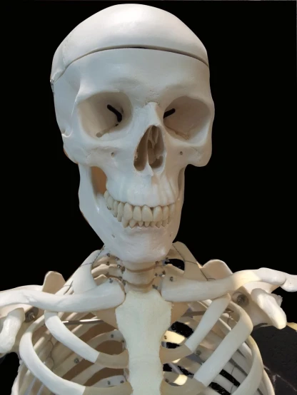 a skeleton is posed and holding its arm out