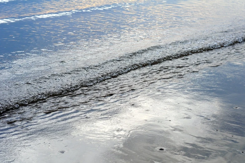 a wet beach is seen with blue skies and low - tide