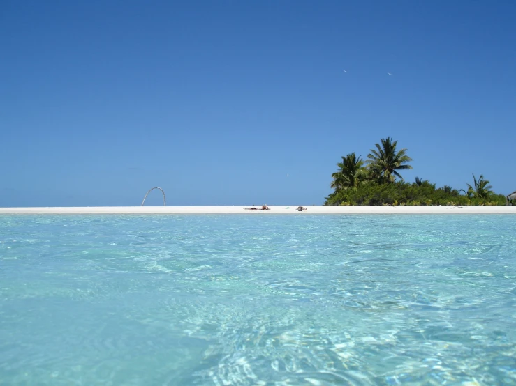 clear blue water with beach and palm trees in background