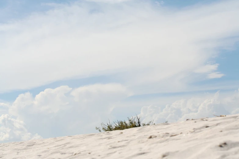 two men fly a kite over a beach