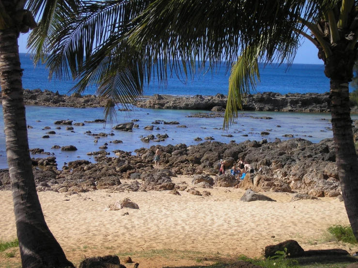 some people are standing on the beach looking out over the water