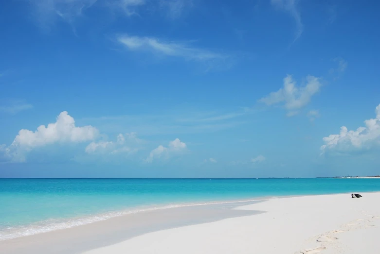 a sandy beach and blue ocean under white clouds