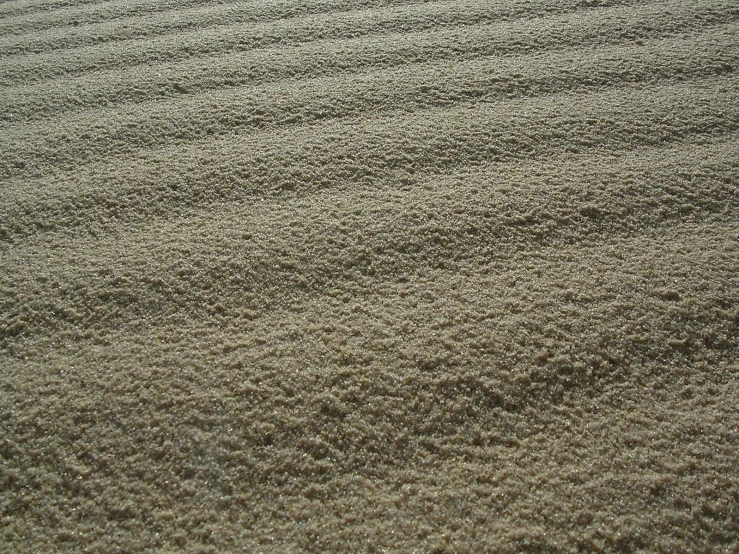 a sand dune with some grass and some sand