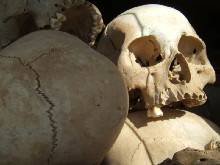 a stone with a missing lower jaw in front of it