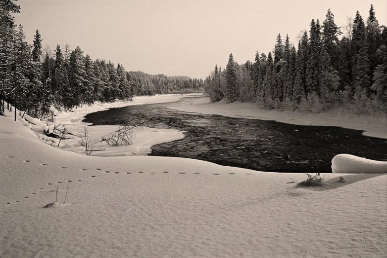 a snow covered river flows through a forest