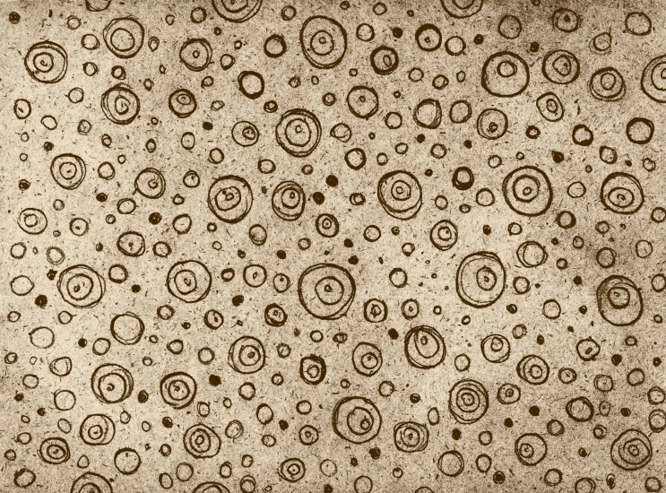 brown ink drawing with swirls on paper