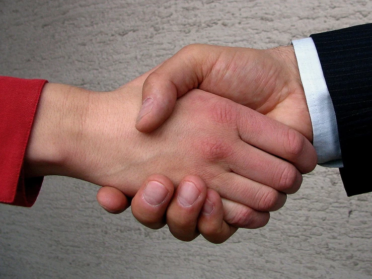 a close - up of two people shaking hands