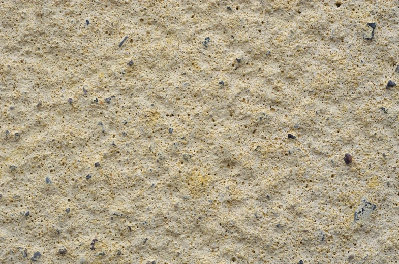 several small birds standing on the sand