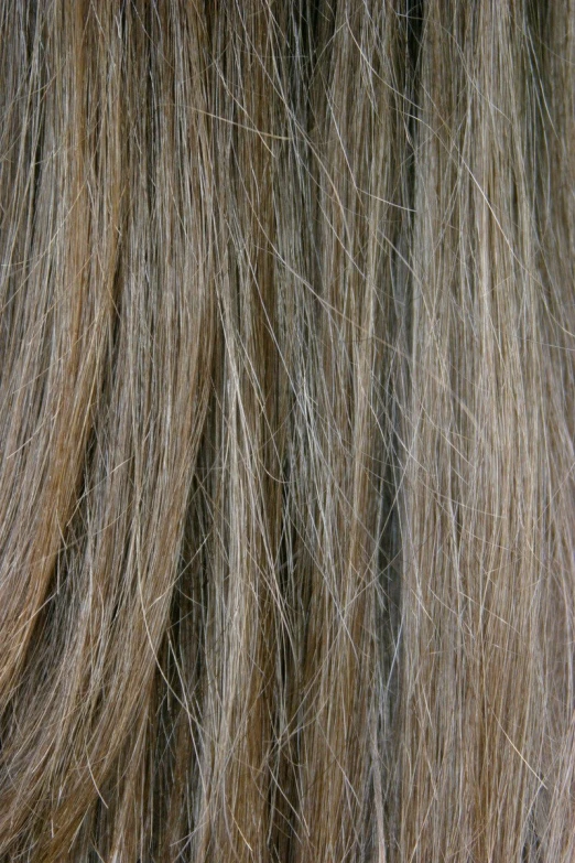 close up po of the hair on an older person