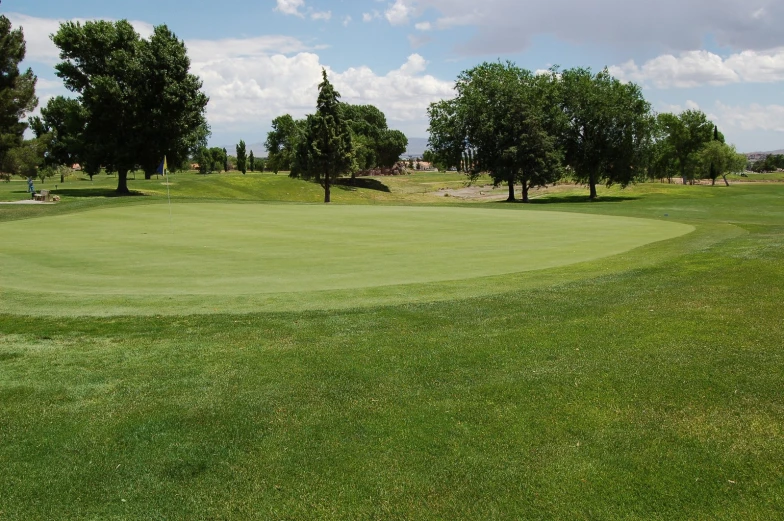 a green golf course surrounded by trees