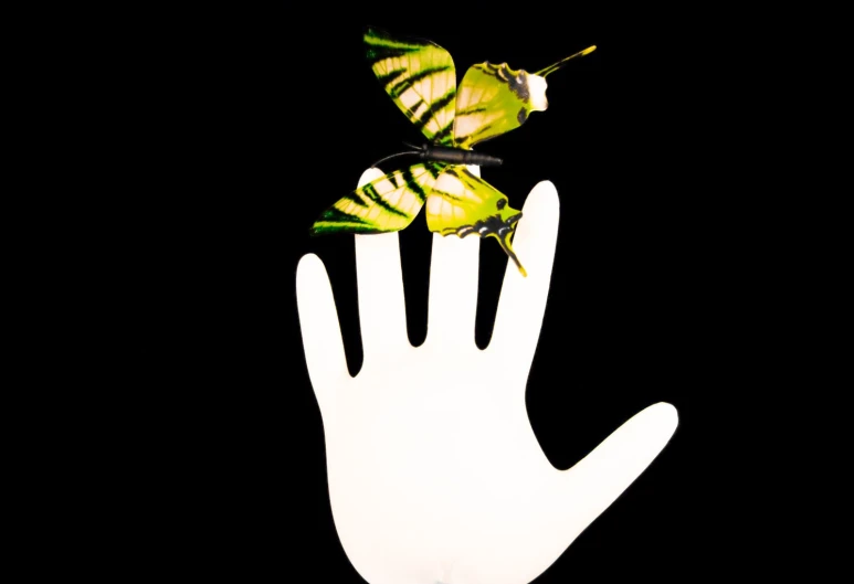 two green erflies flying over a white hand