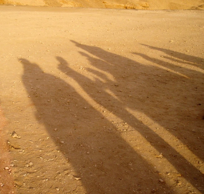 a picture of a person with their shadows on the ground