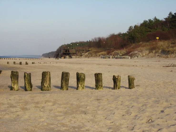 the stumps are stacked together on the beach