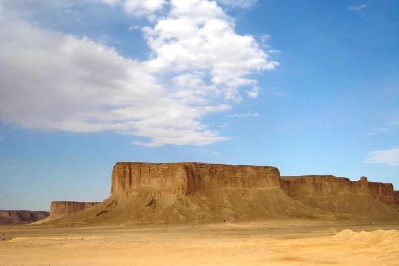 an animal is standing in a desert setting