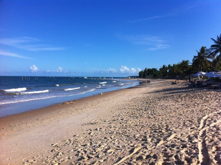 an empty beach with lots of sand and palm trees