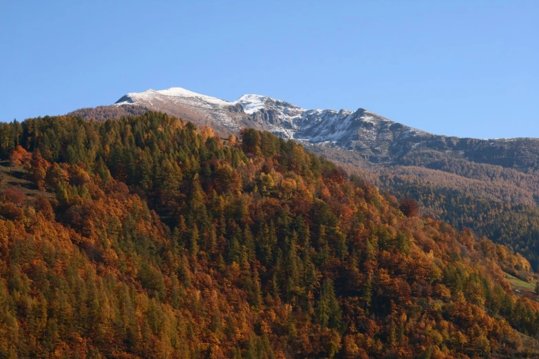 a large white mountain with some colorful trees