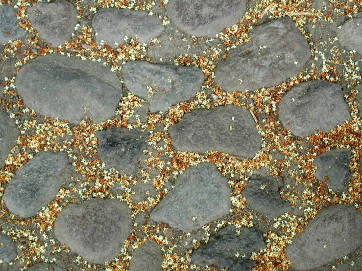 close up image of stone with silver and gold color, in a mosaic pattern