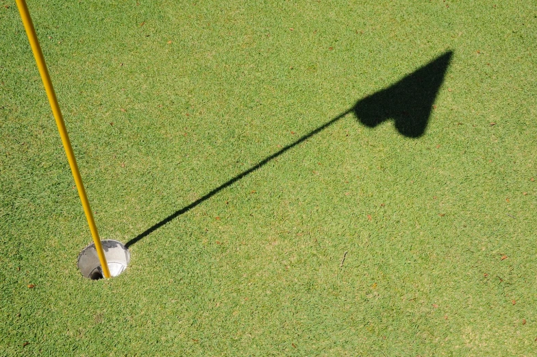 a golf ball is laying on the green