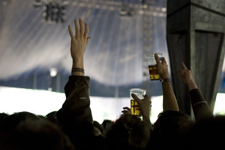 several people with their hands up while holding beers in the air