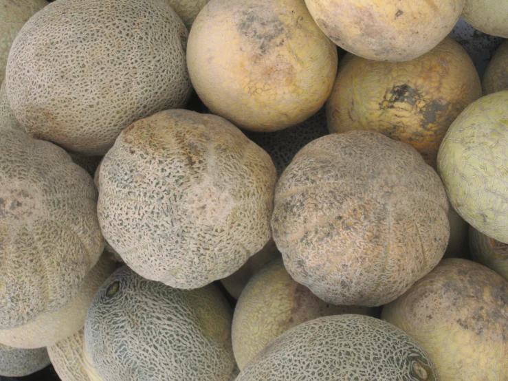 a close up of a bunch of different fruits