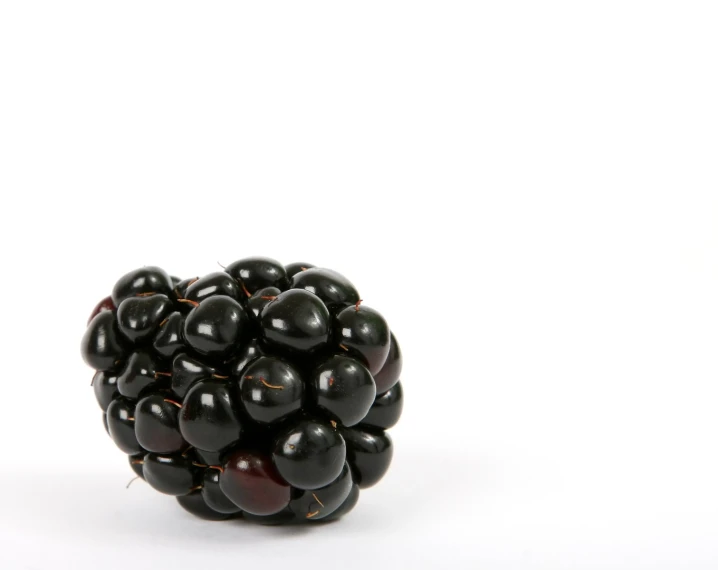 an object made from plastic fruits and black berries