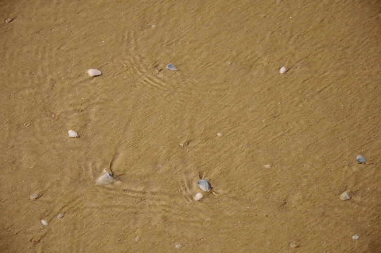 a view of the sand and the water as it comes out