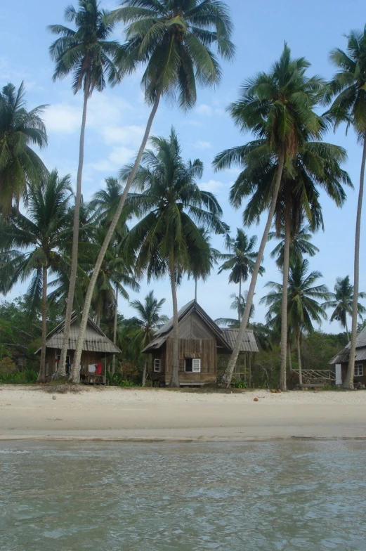 a beach side town sits on the edge of a large body of water