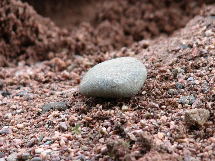 a small rock sitting on the ground in the sand