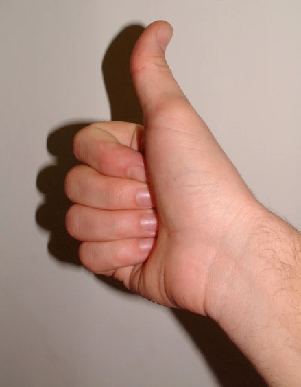 a thumb that has taken off of the palm