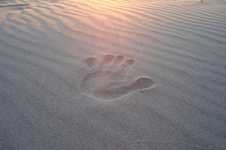 a pair of footprints on the beach at sunset