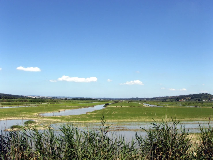 a small body of water surrounded by green fields