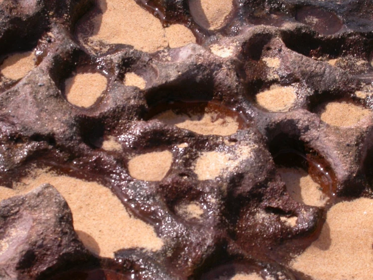 close up of the sand and rocks on the beach