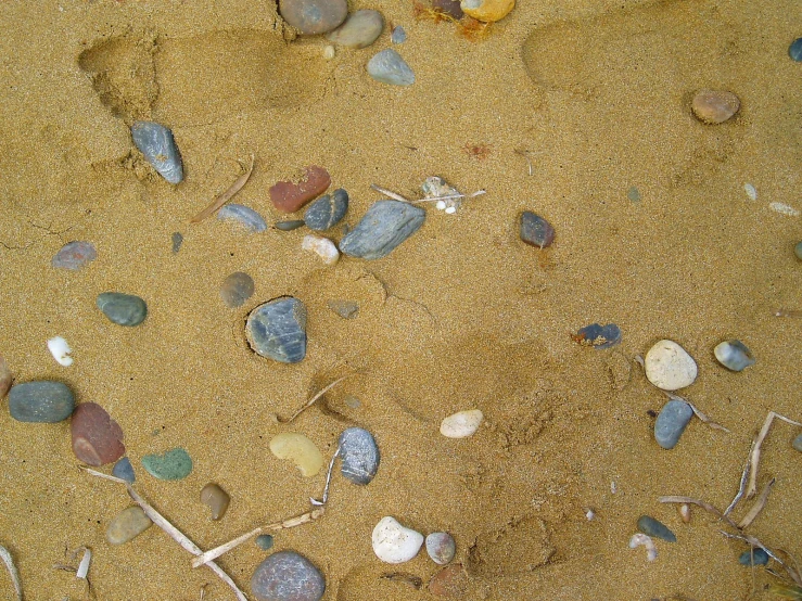 a close up s of several small rocks on the beach