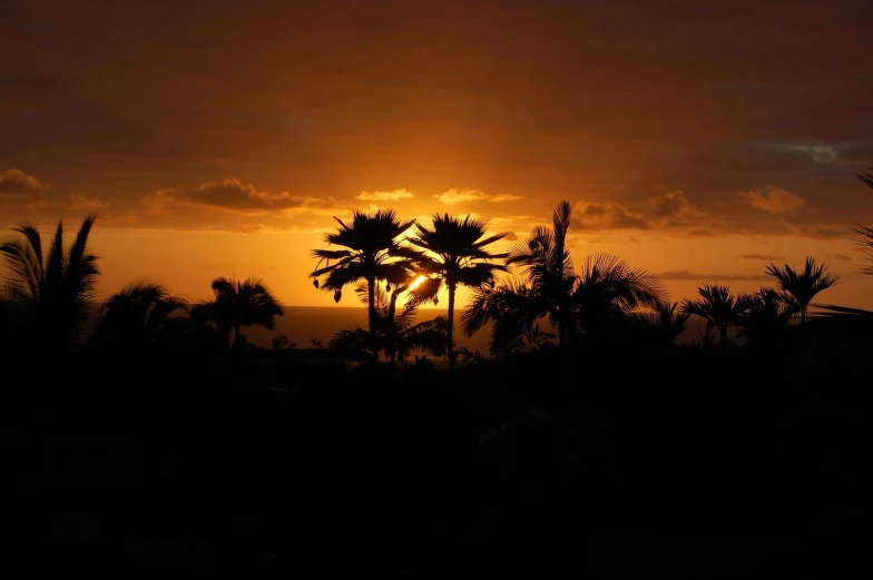 a beautiful sunset with many palm trees near by