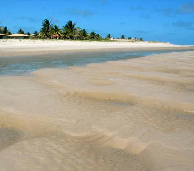 a beach with some sand and trees in the background