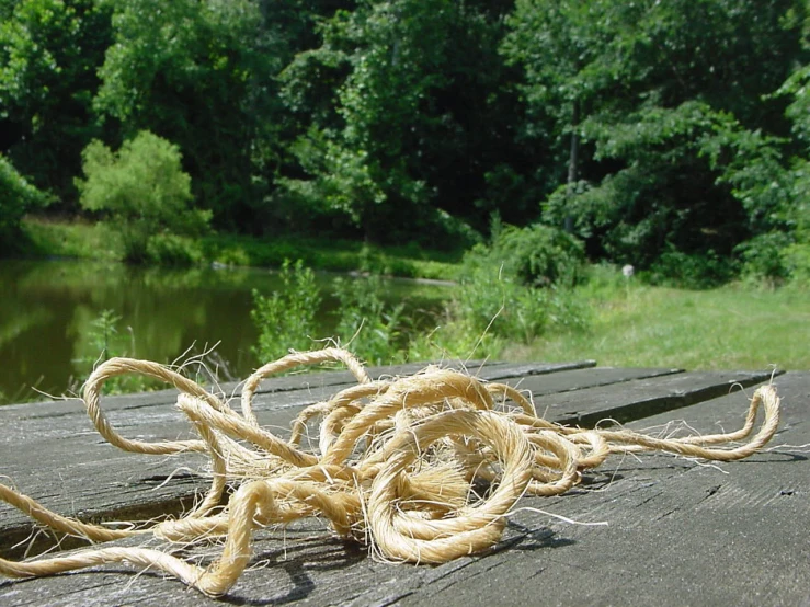 there is some kind of knot on the dock